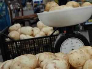 Сравнительный анализ урожайности картофеля в россии и в мире
